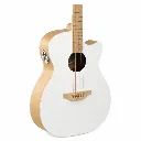 Applause by Ovation AEO696PS