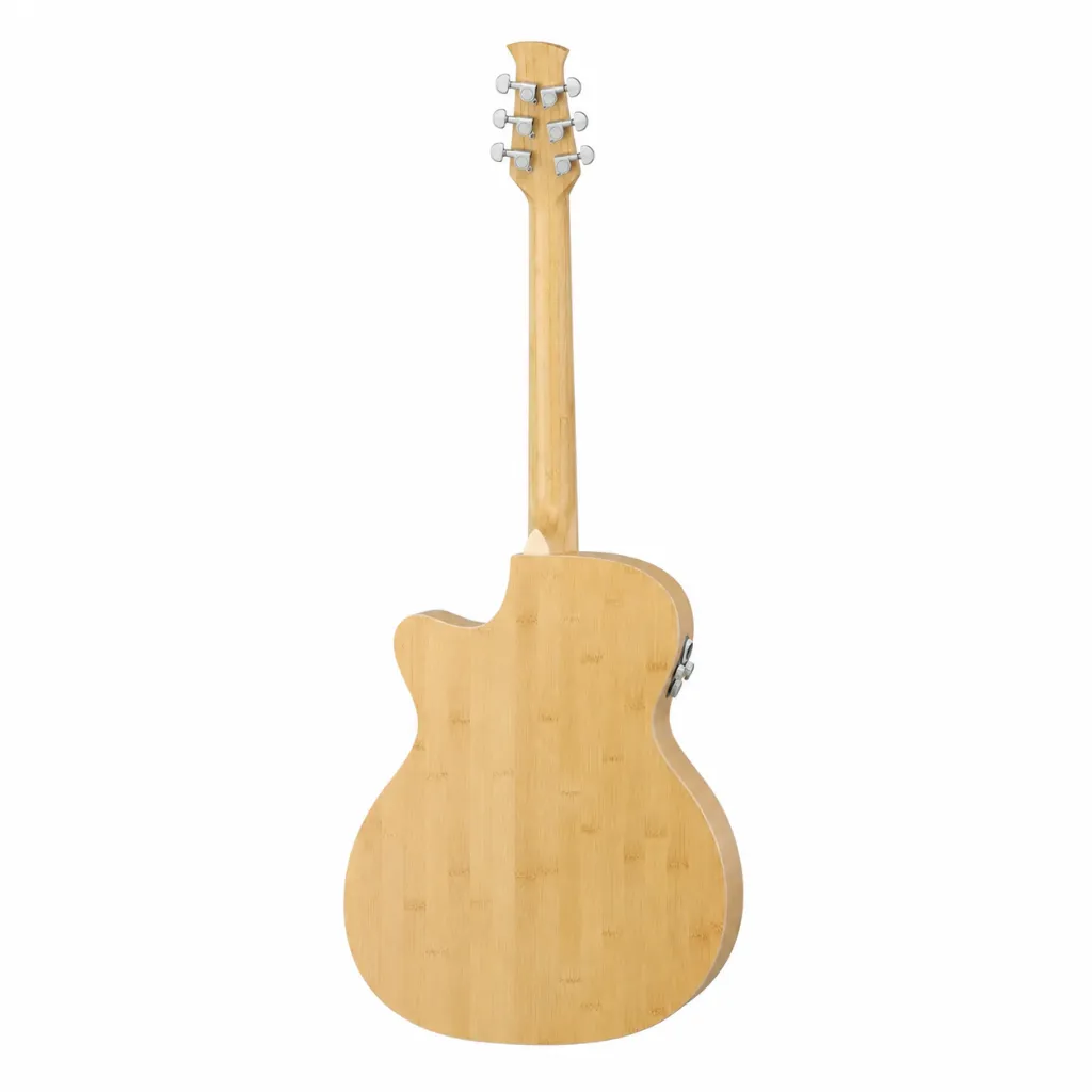 Applause by Ovation AEO696PS
