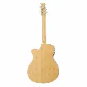 Applause by Ovation AEO696PS