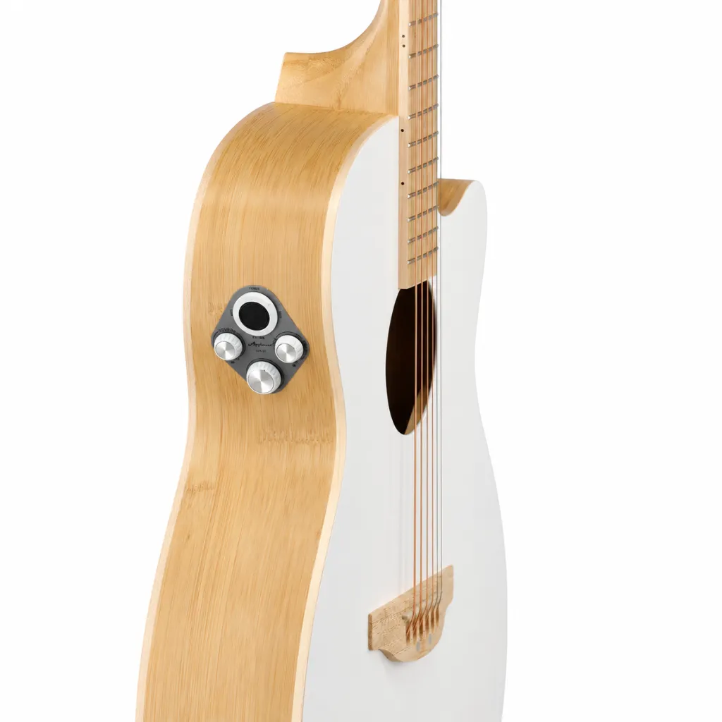 Applause by Ovation AEO696PS