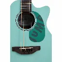 Applause AEO69T