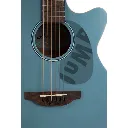 Applause AEO69B