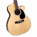 Blueridge BR63CE