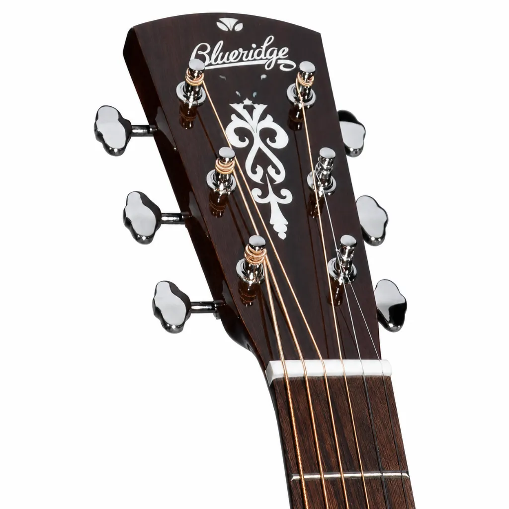 Blueridge BR63CE