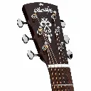 Blueridge BR63CE
