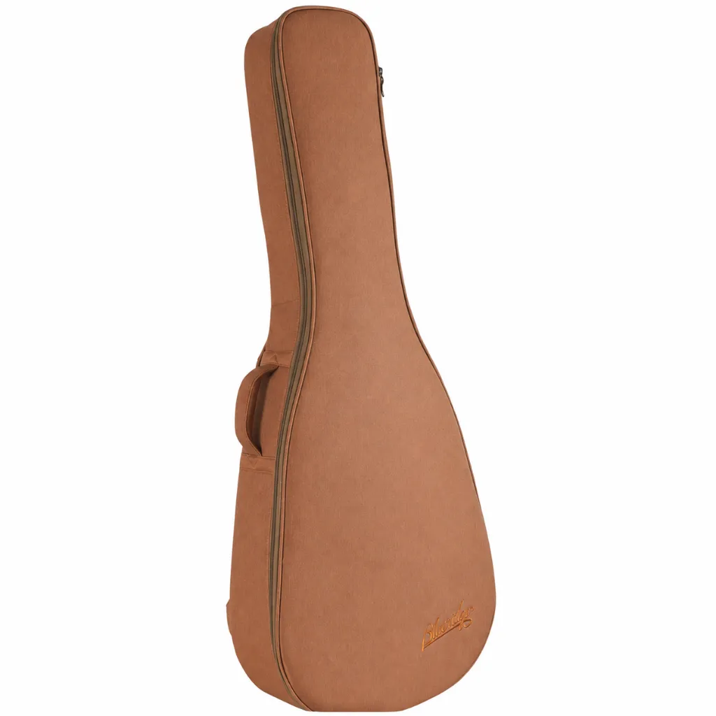 Blueridge BR63CE