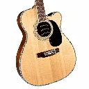 Blueridge BR73CE
