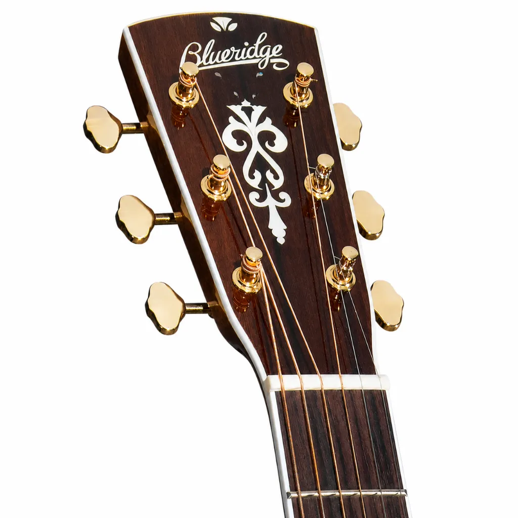 Blueridge BR73CE