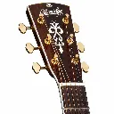 Blueridge BR73CE