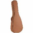 Blueridge BR73CE