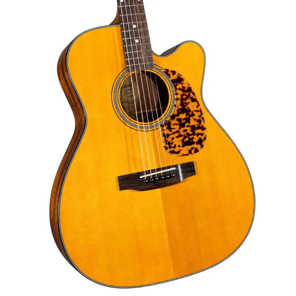 Blueridge BR143CE