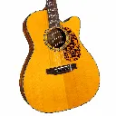 Blueridge BR143CE