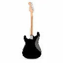 Fender 0373301506.webp