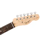 Fender 0379670506.webp