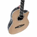 Ovation CS24C4G