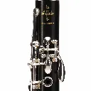 Clarinete Profesional en Bb