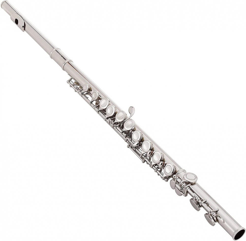 Alde Audio FLSILVER Flauta Transversal De 16 Hoyos En Do