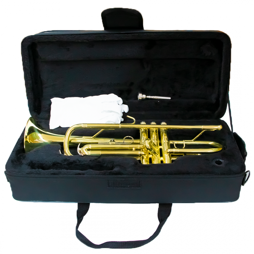 Alde Audio TRZ123 Trompeta de Mano Izquierda De Laton Laquedo