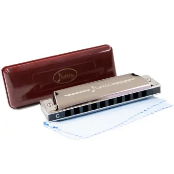 T10SG Armónica de 10 Hoyos con Estuche