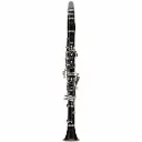 Buffet Crampon BC1114-2-0 Clarinete Profesional en Sib Serie RC