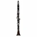 Buffet Crampon BC1108L-2-0P Clarinete Profesional en Sib Serie RC Prestige