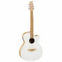 Applause by Ovation AEO696PS Guitarra Electroacústica Jump Blank Canvas