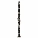 Buffet Crampon BC1131-2-0 R13 Clarinete Profesional en Bb