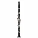 Buffet Crampon BC1116LN-2-0 Tradition Clarinete Profesional en Bb