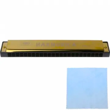 [AR24GLD] Only Music AR24GLD Armónica Profesional De 24 Hoyos De Metal Dorada