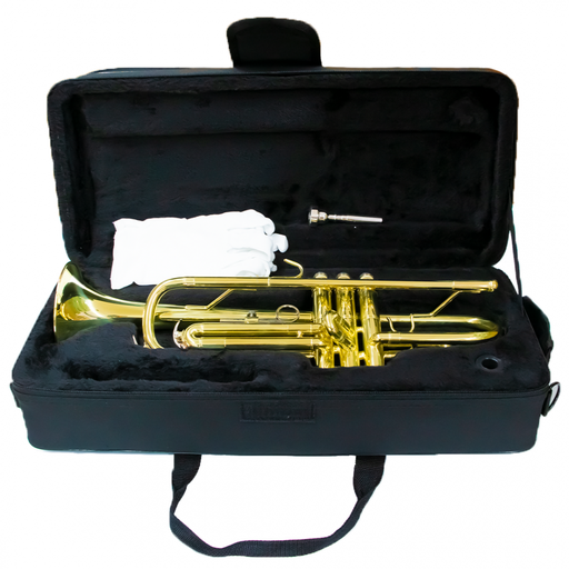 [TRZ123] Alde Audio TRZ123 Trompeta de Mano Izquierda De Laton Laquedo