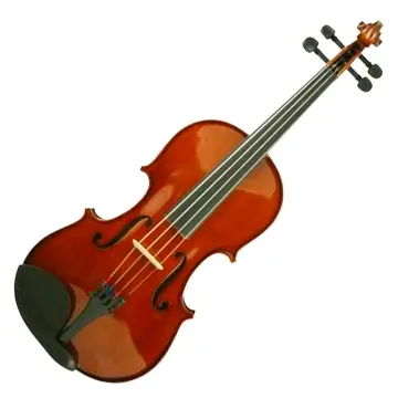 [AS045V12] Hofner AS045V12 Violín Con Clavijas De Ébano